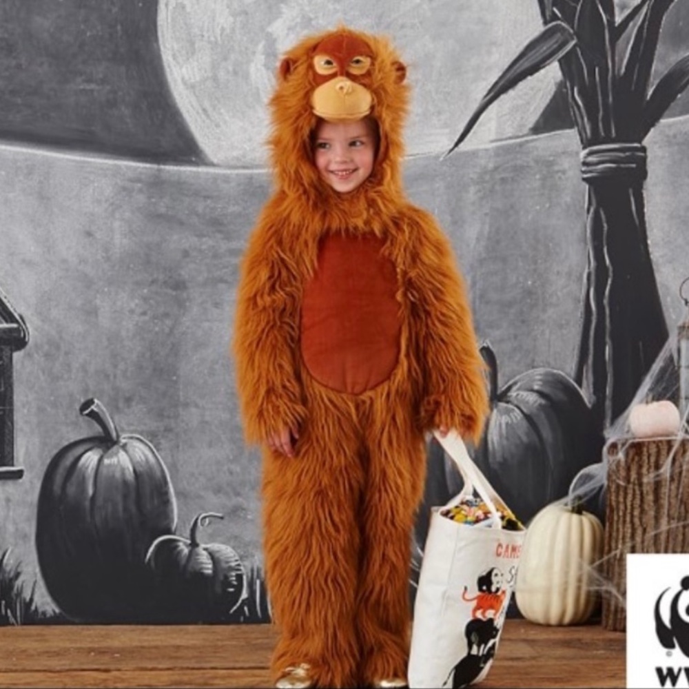 AVAILABLE - 3T Pottery Barn Kids Orangutan costume